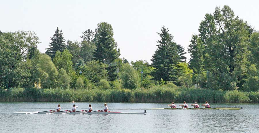 Foto 41/121 (Regatta 2008 beim WRC Donaubund)